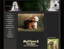 Tablet Screenshot of maltipoozucht.de